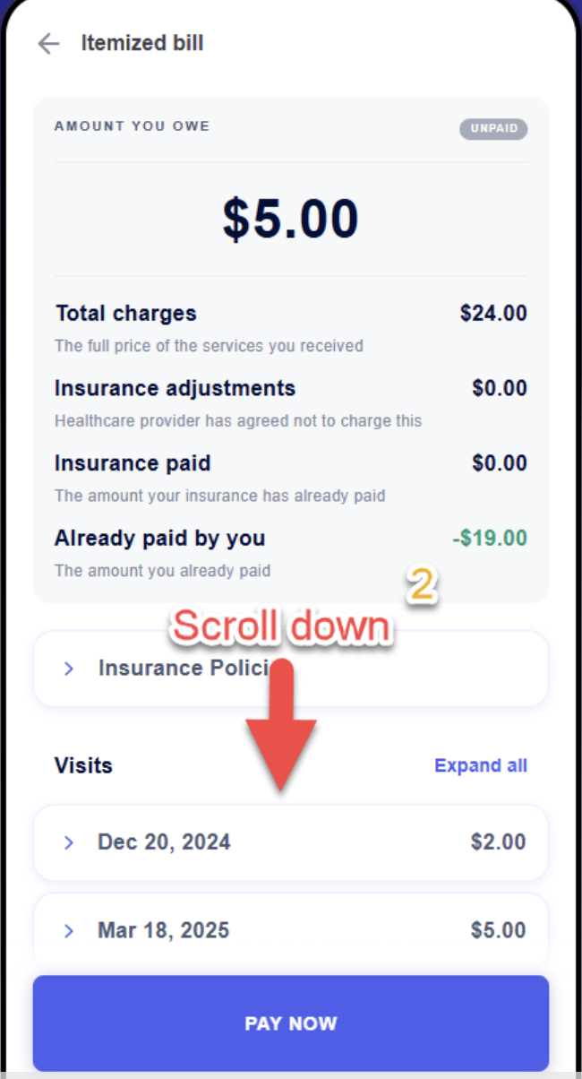 Itemized bill showing $5.00 owed, $24.00 total charges, $19.00 already paid, with "Pay Now" button and visit dates.