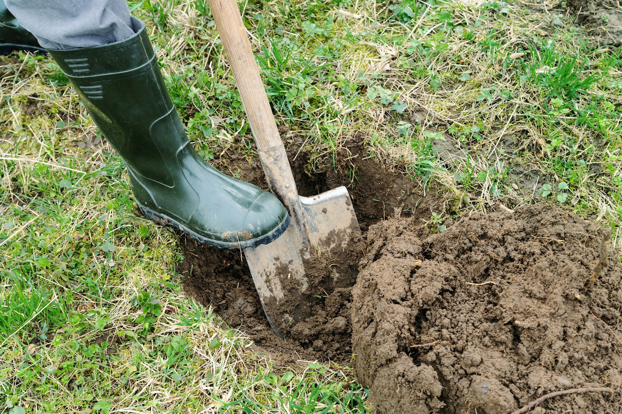 Person digging into the dirt with a shovel