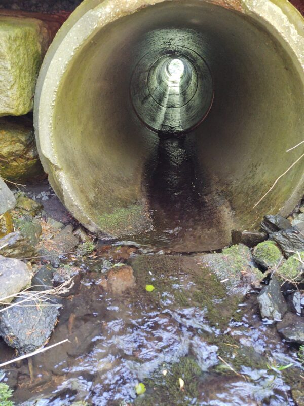 A concrete drainage pipe with water flowing through it, surrounded by rocks and moss.
