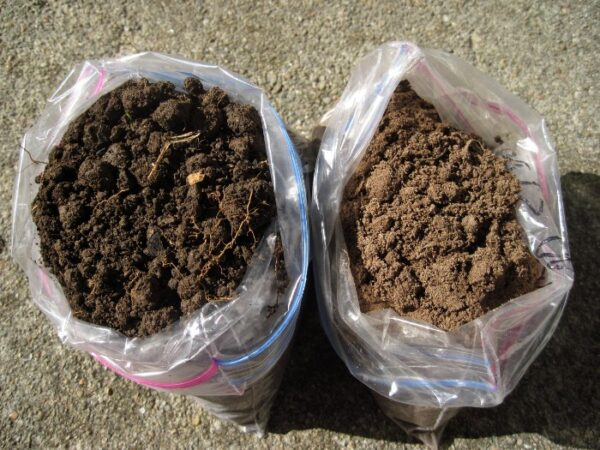 Two plastic bags filled with different types of soil placed on a concrete surface.