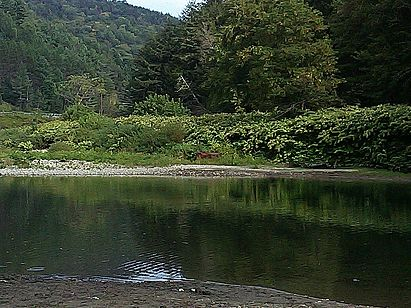 A calm river with green foliage on its banks, surrounded by a forest and distant hills.