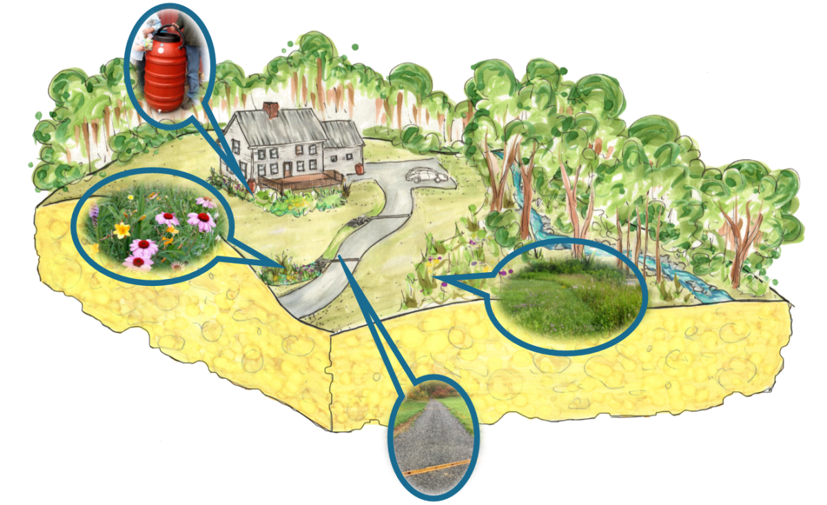 Landscape illustration showing a house, trees, flowers, and a winding road with magnified insets of a rain barrel, flowers, grass, and road.