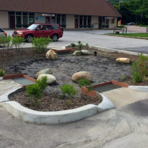 A small landscaped area with rocks and plants in a parking lot, with a red car parked nearby and a building in the background.