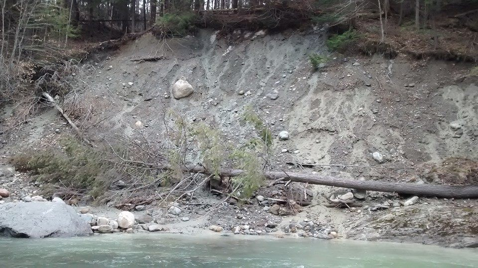 A rocky slope with fallen trees near a water body, surrounded by forest.