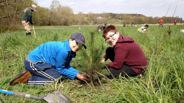 People planting a small tree in a grassy field, participating in a tree-planting activity.