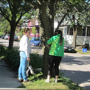 Two people measuring the circumference of a tree on a residential street.