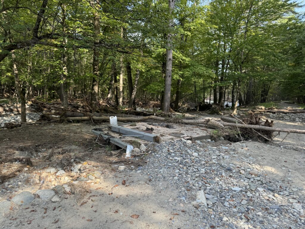 A forest scene with debris, rocks, and fallen trees scattered across the ground.