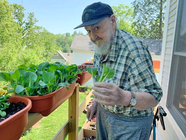 An elderly man in a plaid shirt shows a plant next to potted greens on a porch with a scenic, leafy background.