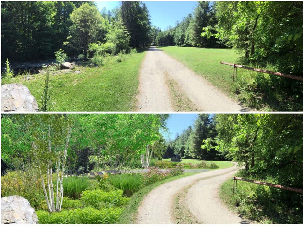 Two images of a rural dirt path in the forest; the bottom one has more greenery and vegetation added.
