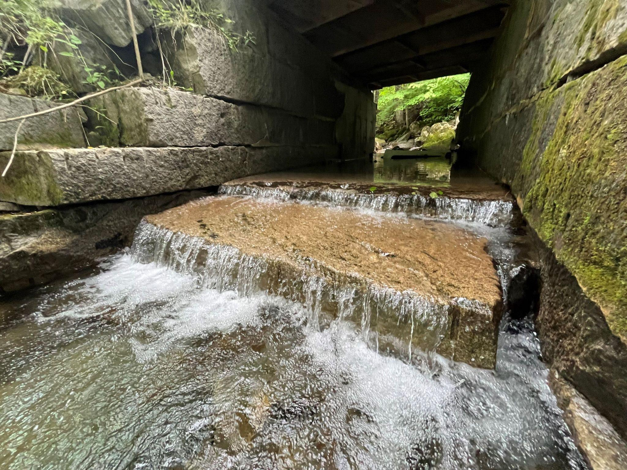 Water flowing over stone steps under a bridge in a tunnel with natural greenery.