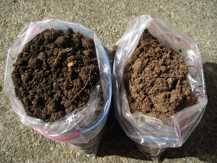 Two plastic bags filled with different types of soil placed side by side.