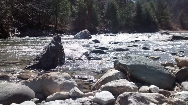 Rocky riverbank with flowing water, large boulders, and trees in the background.