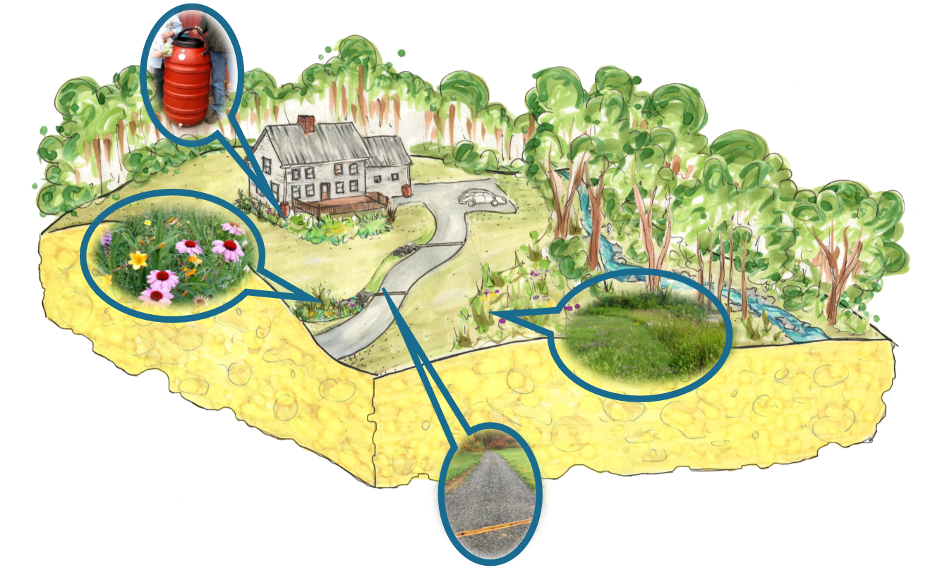 A house with trees, a car, and pathways highlighted with red barrel, flowers, grass, and a road in bubble inserts.