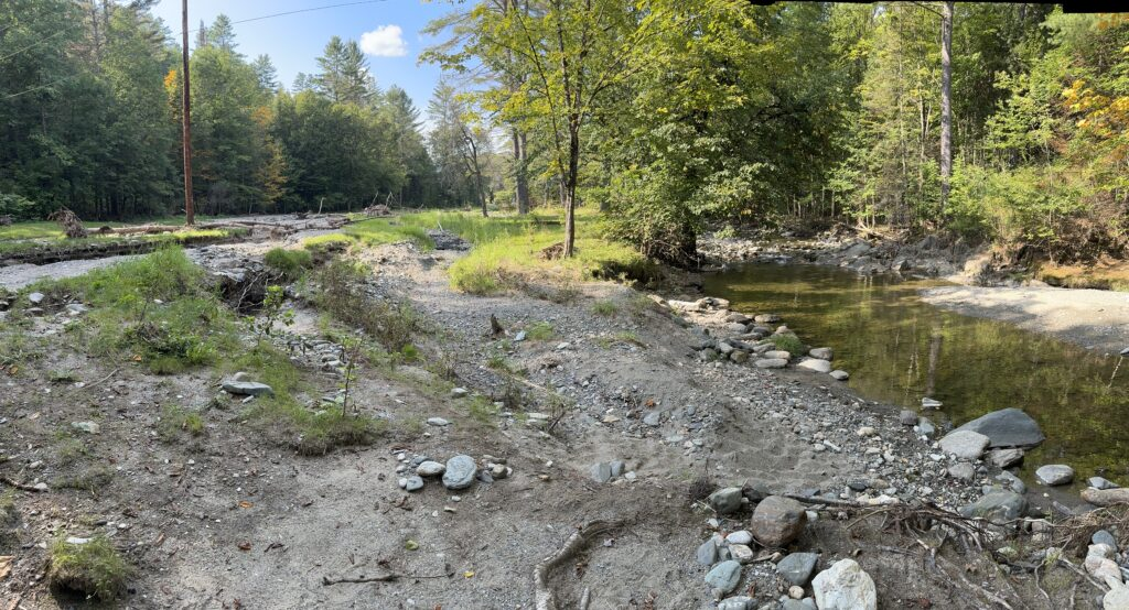 A forested stream scene with rocks, gravel, and some trees.