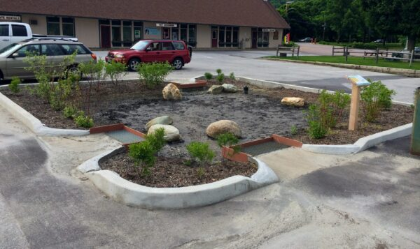 A small rain garden with rocks, plants, and drainage in a parking lot.