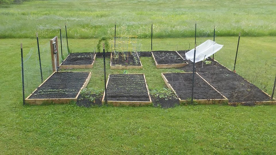 A fenced vegetable garden with multiple raised beds and some protective covers, set in a grassy area.