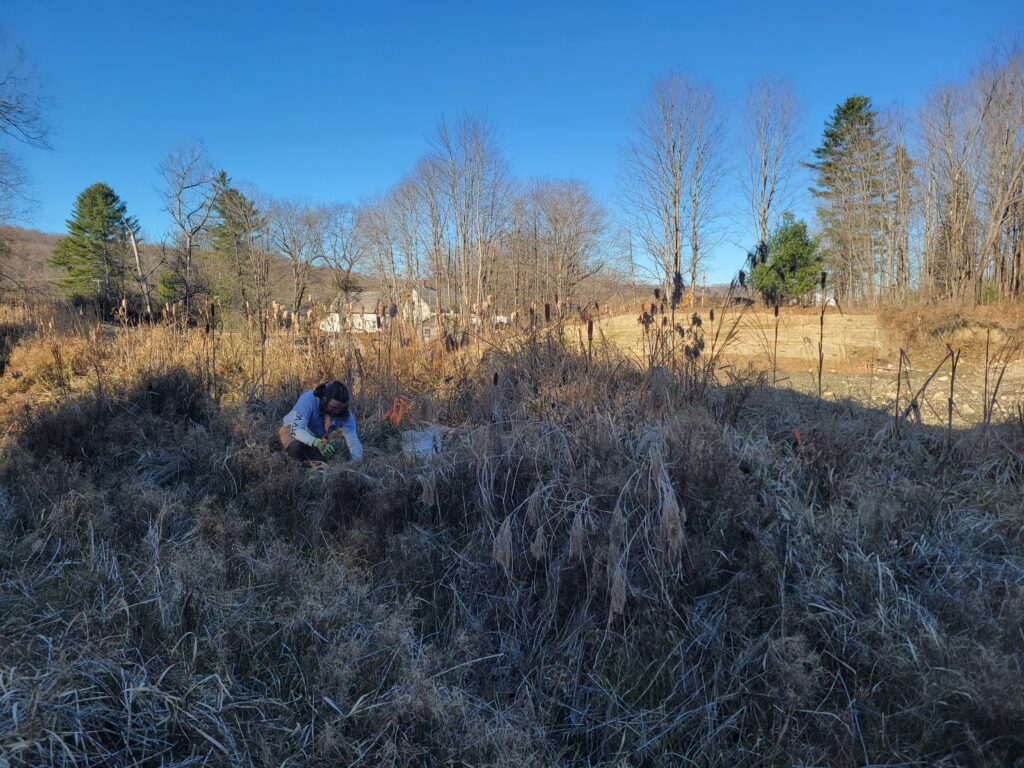 A person kneels amidst tall, dry grass under a clear blue sky with leafless trees in the background.