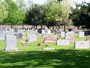 May contain: outdoors and graveyard