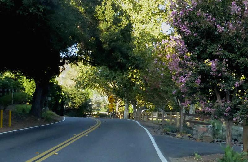 May contain: road, city, street, urban, freeway, highway, tarmac, plant, vegetation, and outdoors