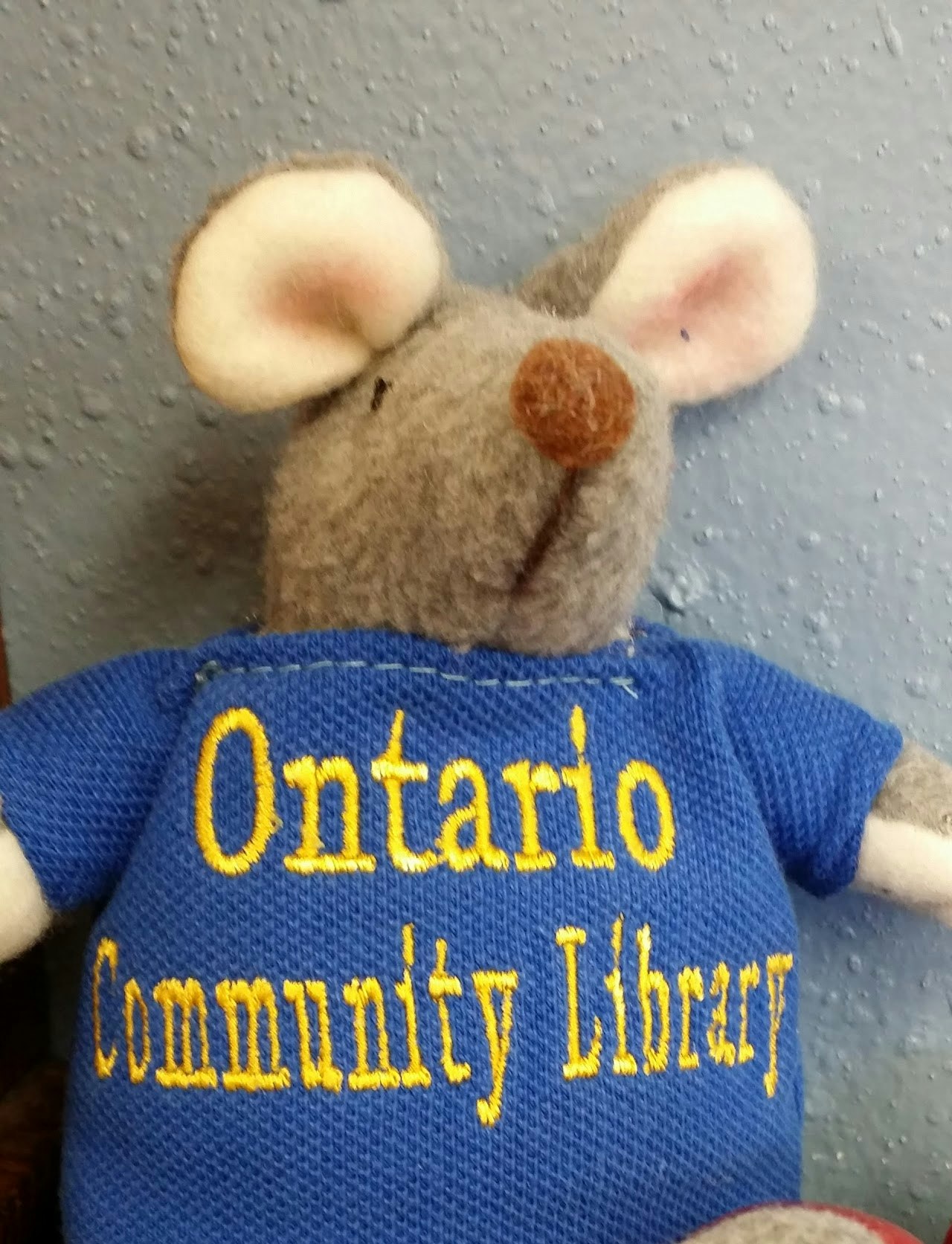 Plush Toy. The Library Mouse with Library emblem shirt on.