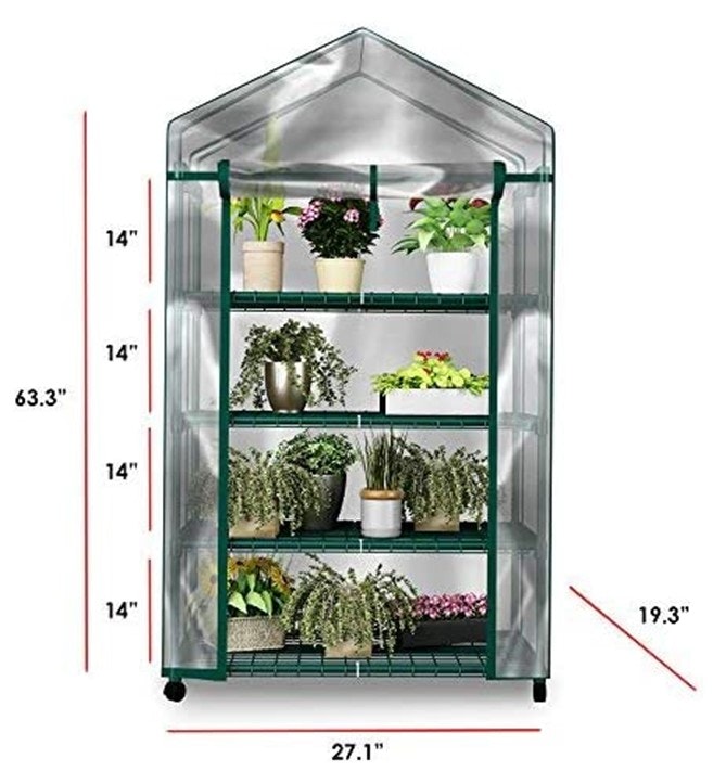 Image of a Small Portable Green House 63.3 inches by 19.3 inches