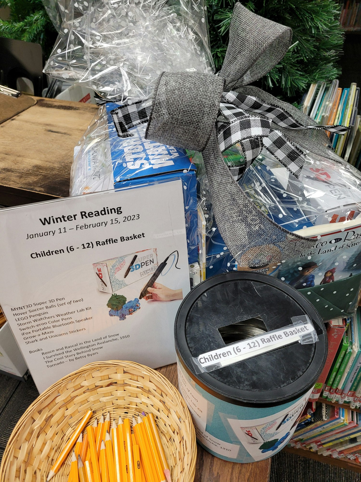 Winter Reading Prize basket ages 6-12.