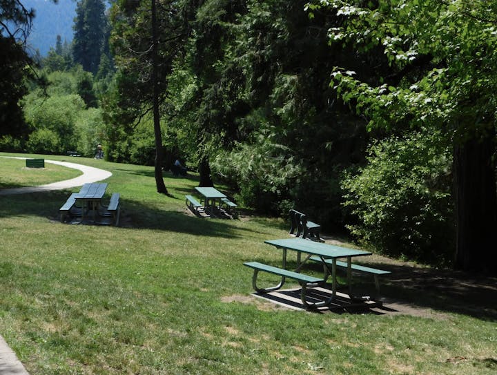 May contain: furniture, grass, plant, bench, park, lawn, outdoors, tree, person, and human