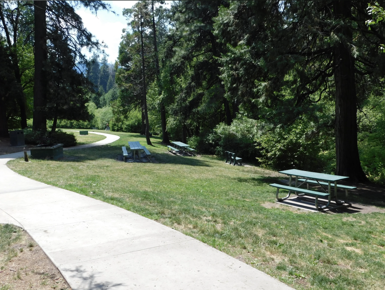 May contain: bench, furniture, grass, plant, path, outdoors, and tree