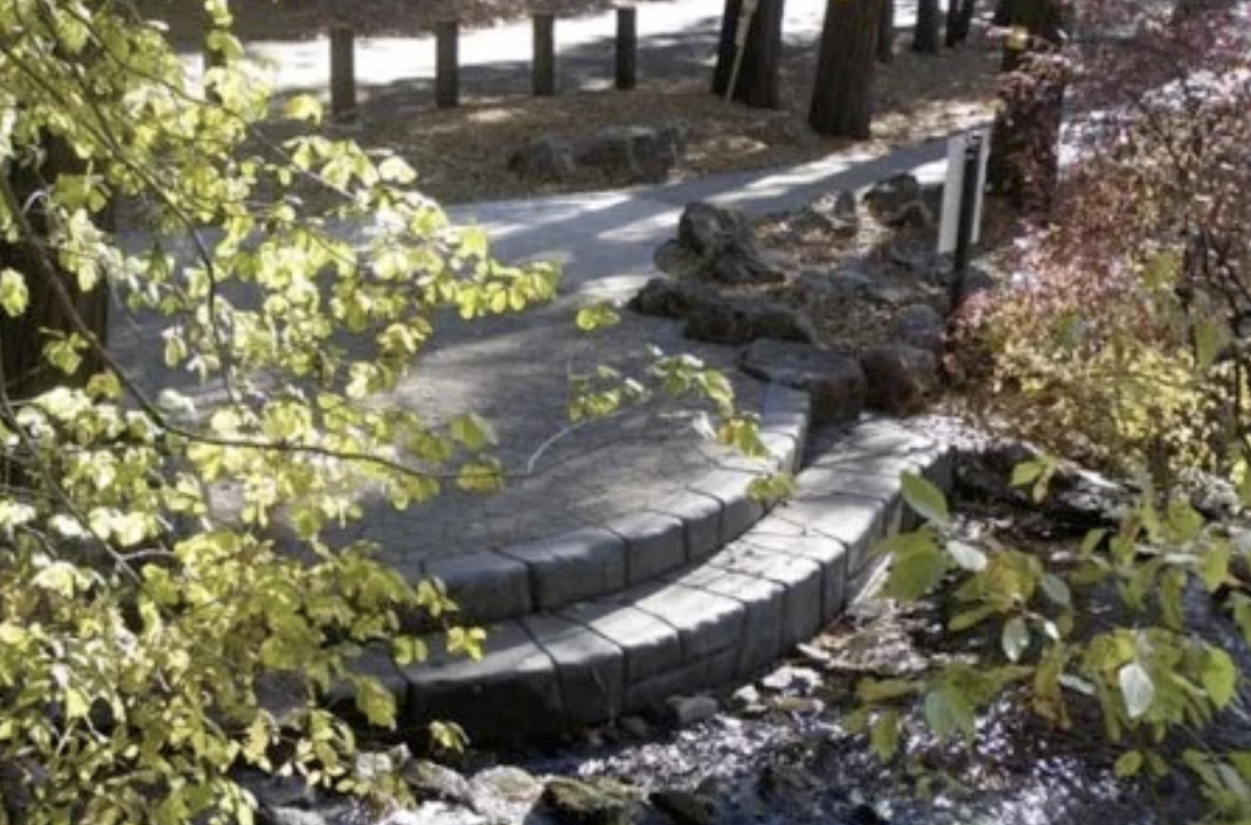 May contain: path, walkway, nature, water, and outdoors