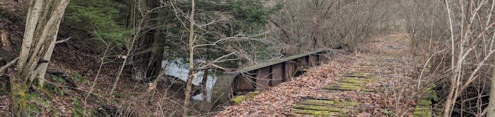 Old, overgrown train tracks on a rusty bridge surrounded by trees and fallen leaves.