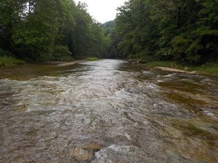 A clear, flowing river surrounded by lush green trees and dense forest.