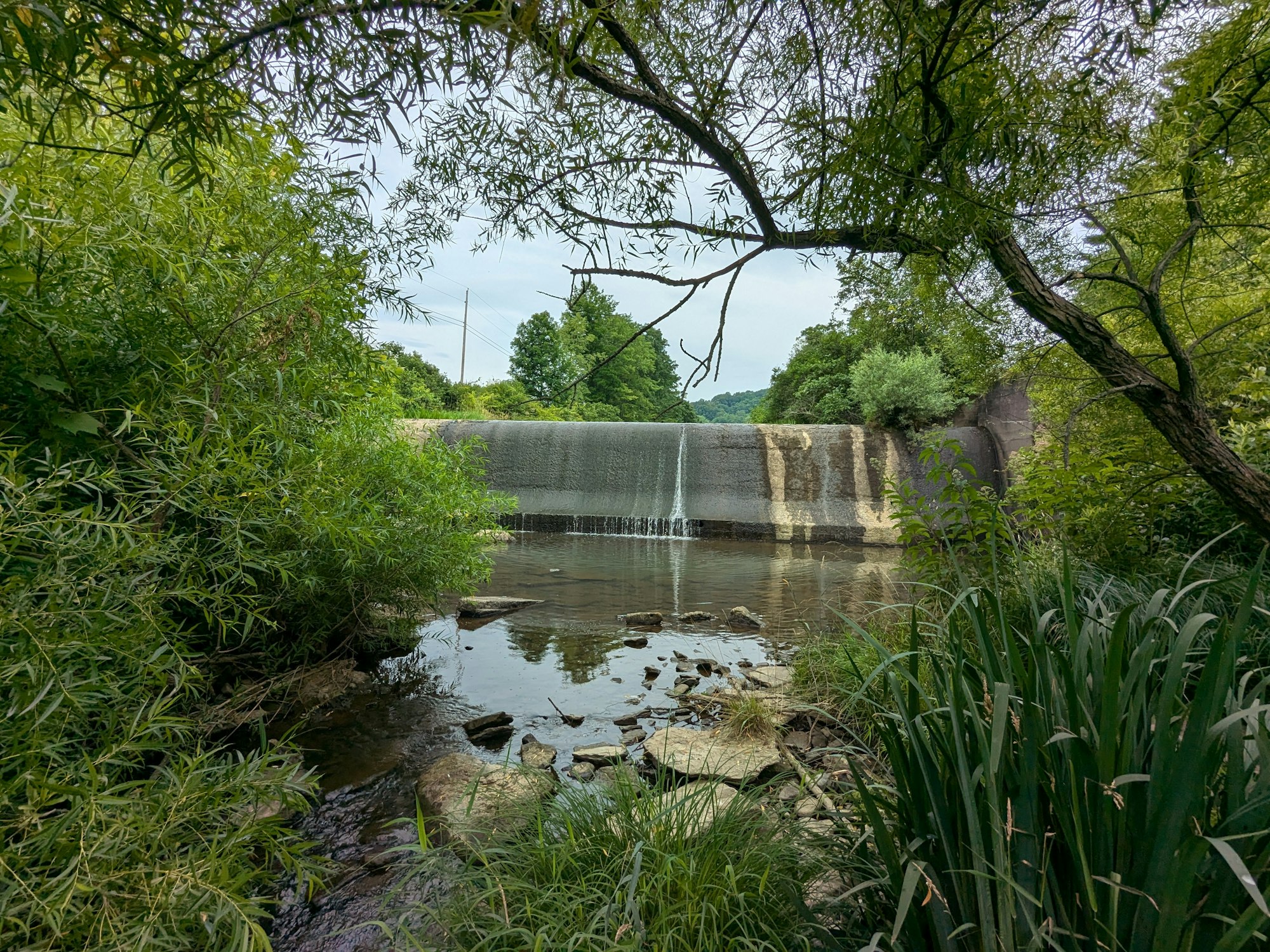 A small waterfall flowing over a concrete structure into a calm stream, surrounded by lush green vegetation and trees.