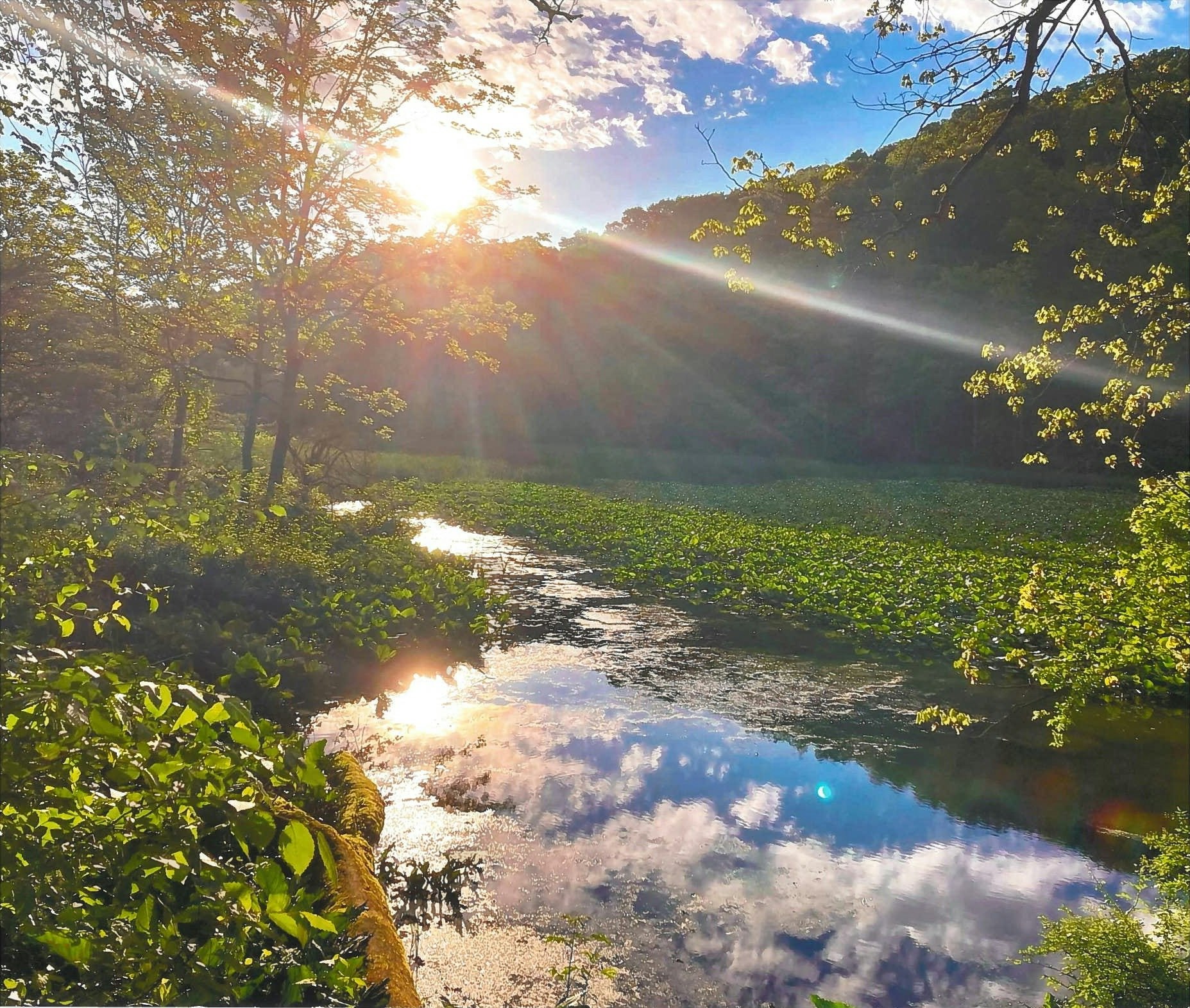 Sunset over a serene lake with lush greenery, reflecting the sky and clouds.