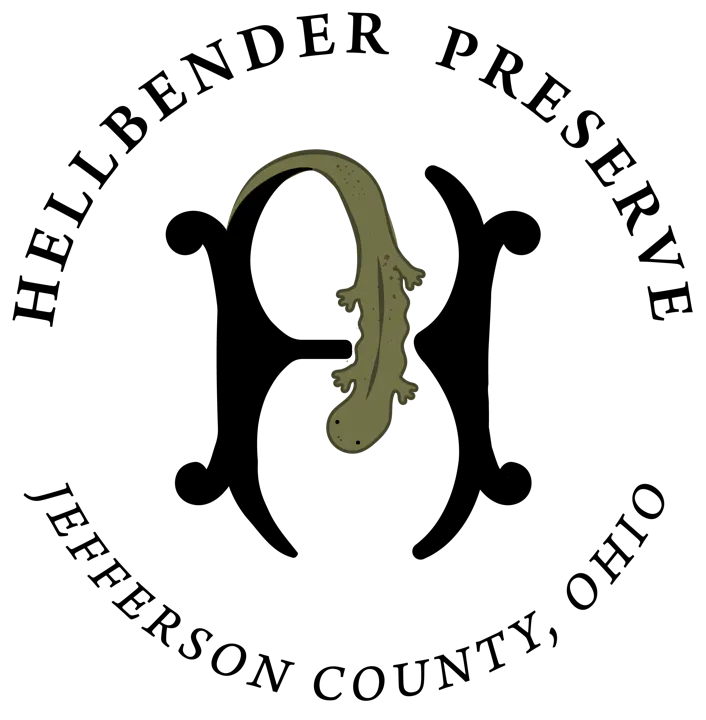 A simple green cartoonish lizard or salamander on a black background.