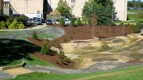 A landscaped area with mulch and plants, adjacent to a building and parking lot.