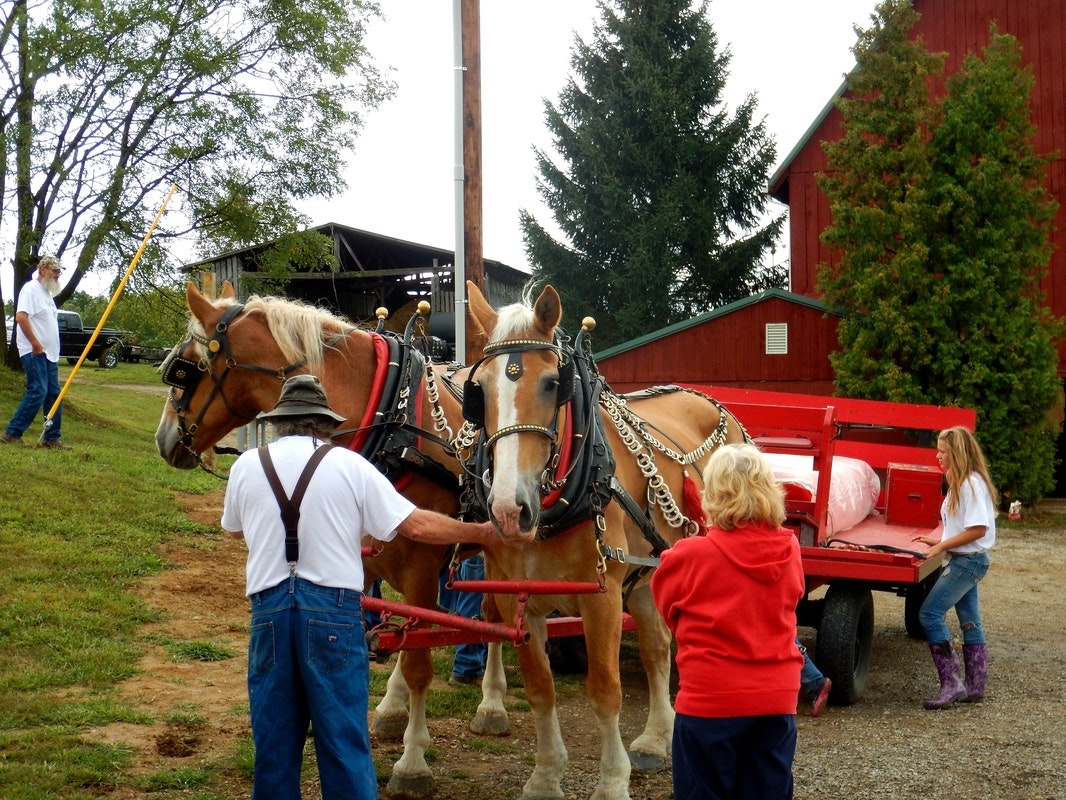 Two horses hitched to a wagon with people standing nearby, on a farm with a red barn in the background.