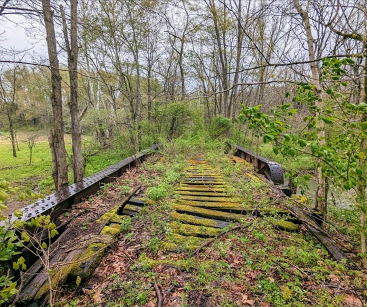 Overgrown, abandoned railway tracks in a wooded area, covered in moss and surrounded by trees.