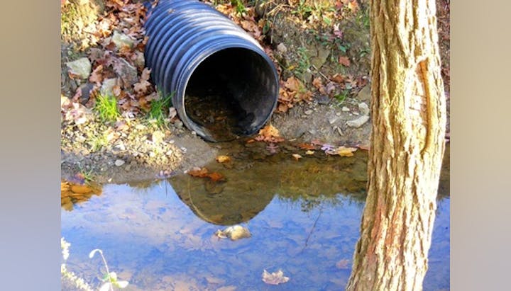 A black drainage pipe near a stream with fallen leaves and a tree nearby.