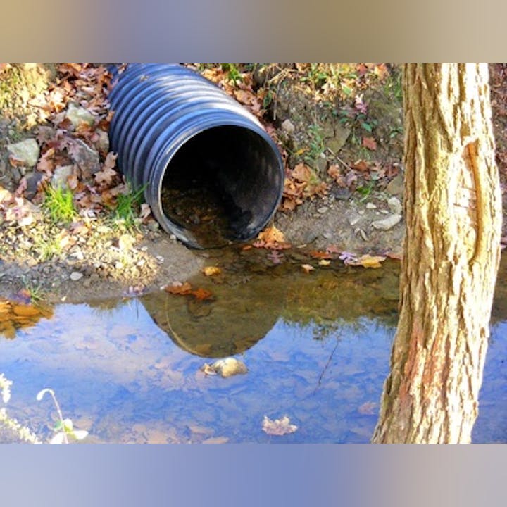 A black drainage pipe near a stream with fallen leaves and a tree nearby.