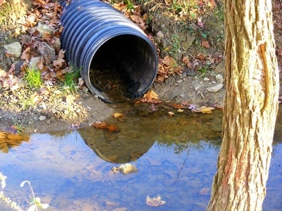 A black drainage pipe near a stream with fallen leaves and a tree nearby.