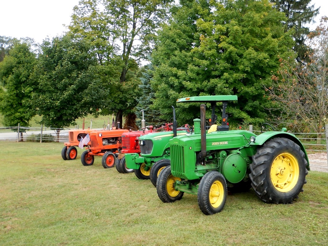 A row of vintage tractors lined up on grass, surrounded by trees.