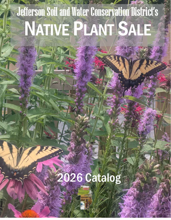 A catalog cover for a native plant sale by Jefferson Soil and Water Conservation District, featuring butterflies and flowers.