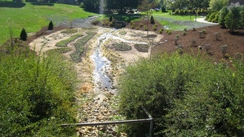 A landscaped garden with a small winding stream, surrounded by greenery and shrubs.