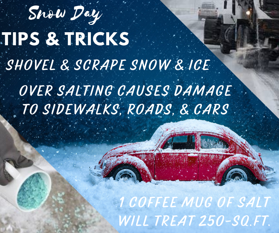 Tips for snow days: shovel snow, avoid over-salting to prevent damage, and one mug of salt treats 250 sq. ft.