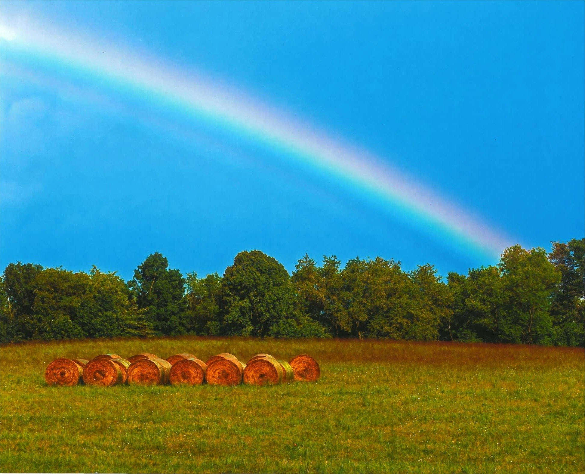 Hay bales in a field beneath a blue sky, with a vibrant rainbow arching over trees in the background.