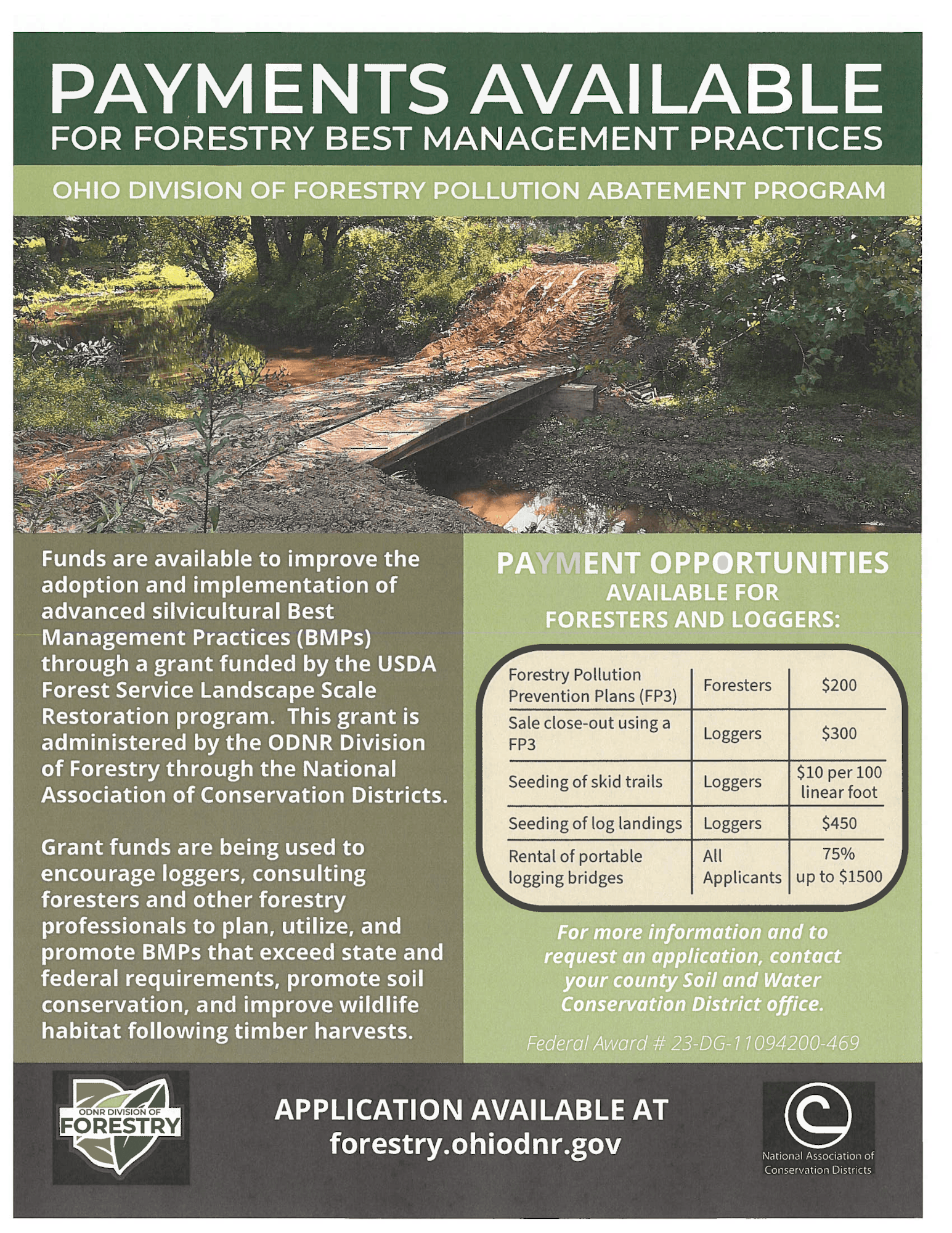 Ohio's Division of Forestry offers grants for best management practices to enhance sustainability in forestry. Details inside.