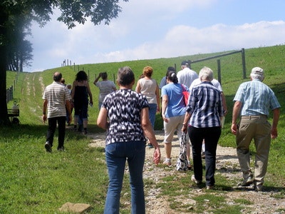 A group of people walking up a grassy path on a sunny day, some wearing plaid shirts.