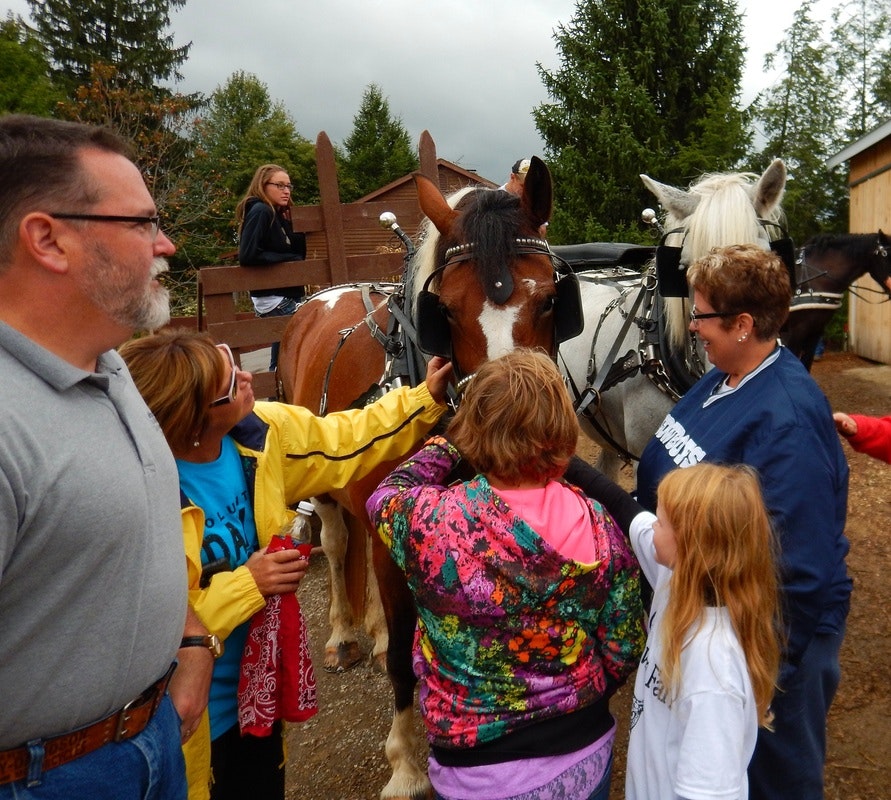 A group of people petting and observing a horse, with trees and a wooden structure in the background.