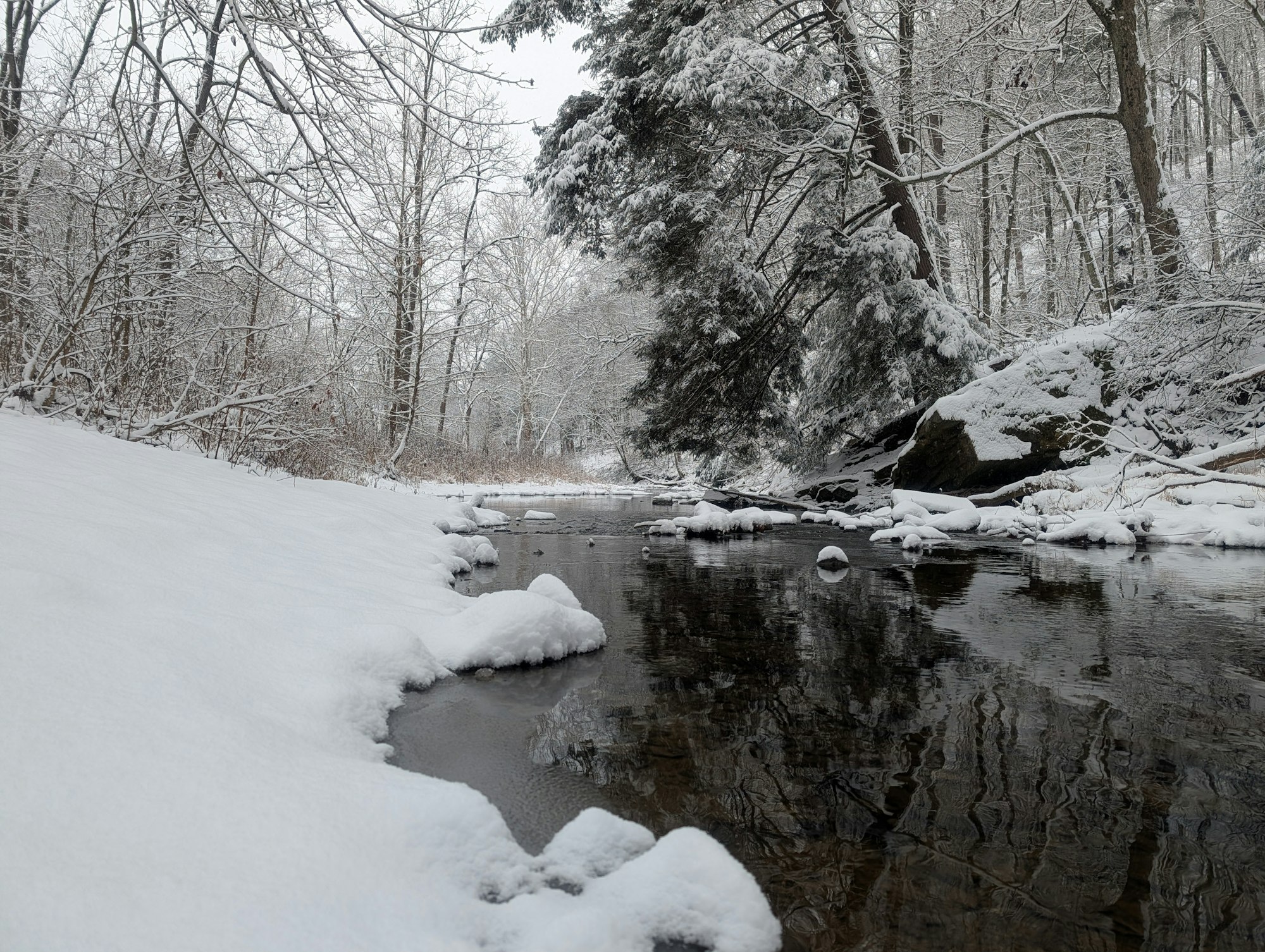 A calm, snowy landscape featuring a creek surrounded by snow-covered trees and rocks, creating a serene winter scene.