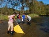 People in a stream using a yellow net, possibly for research or sampling, surrounded by trees and grass.